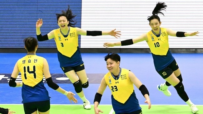 Hillstate Juara Liga Voli Korea