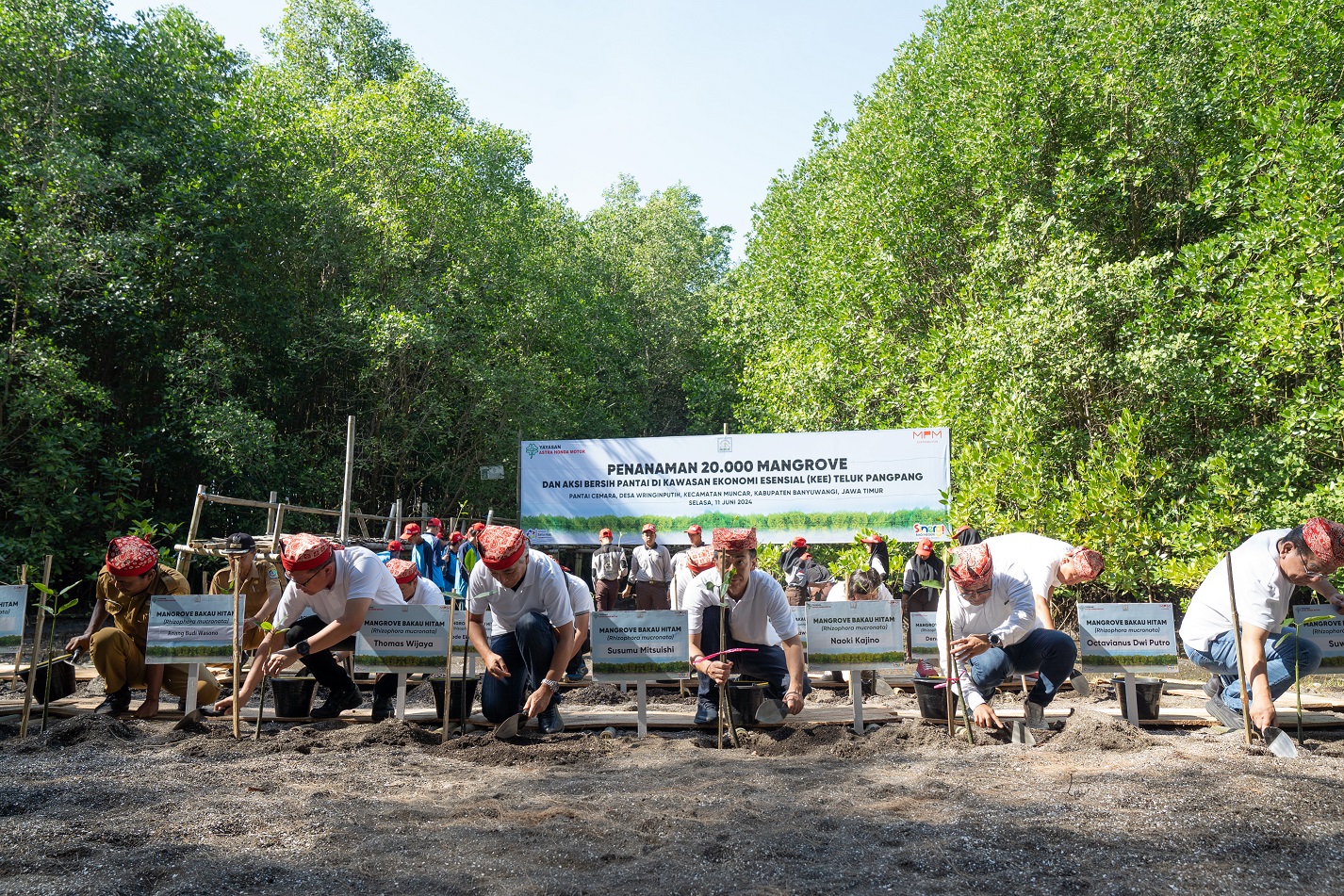 Yayasan AHM Tanam Puluhan Ribu Mangrove
