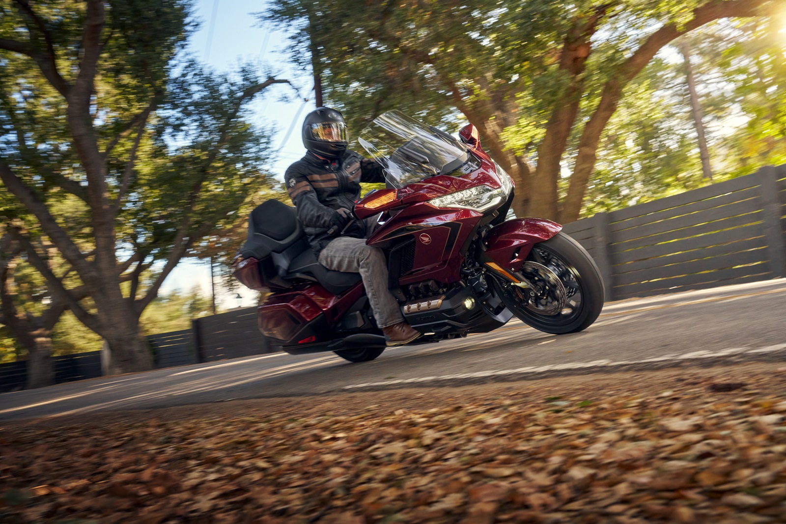 Rayakan Setengah Abad, PT AHM Pasarkan Honda Gold Wing Edisi Spesial