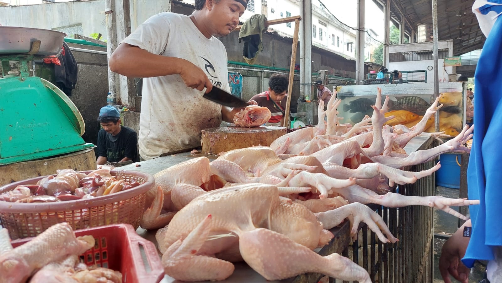 Harga Daging Ayam Naik Hingga 3.000 per Kg