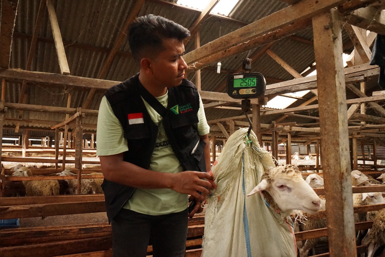 Tak Sekadar Kurban, Dompet Dhuafa Waspada Tegaskan Pentingnya Quality Control