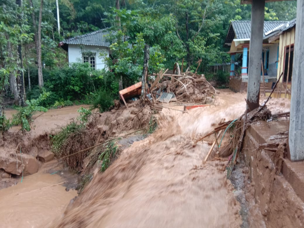 BRIN: Banjir Bandang Jadi Alarm Keruntuhan Ekosistem Hutan