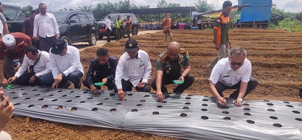 Jaga Stabilitas Pangan, Pj Bupati Tanam Bawang Dan Cabai