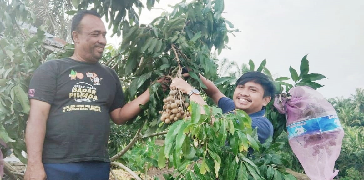 Ngabuburit Asik Di Kebun Kelengkeng Puangphet Bangun Purba
