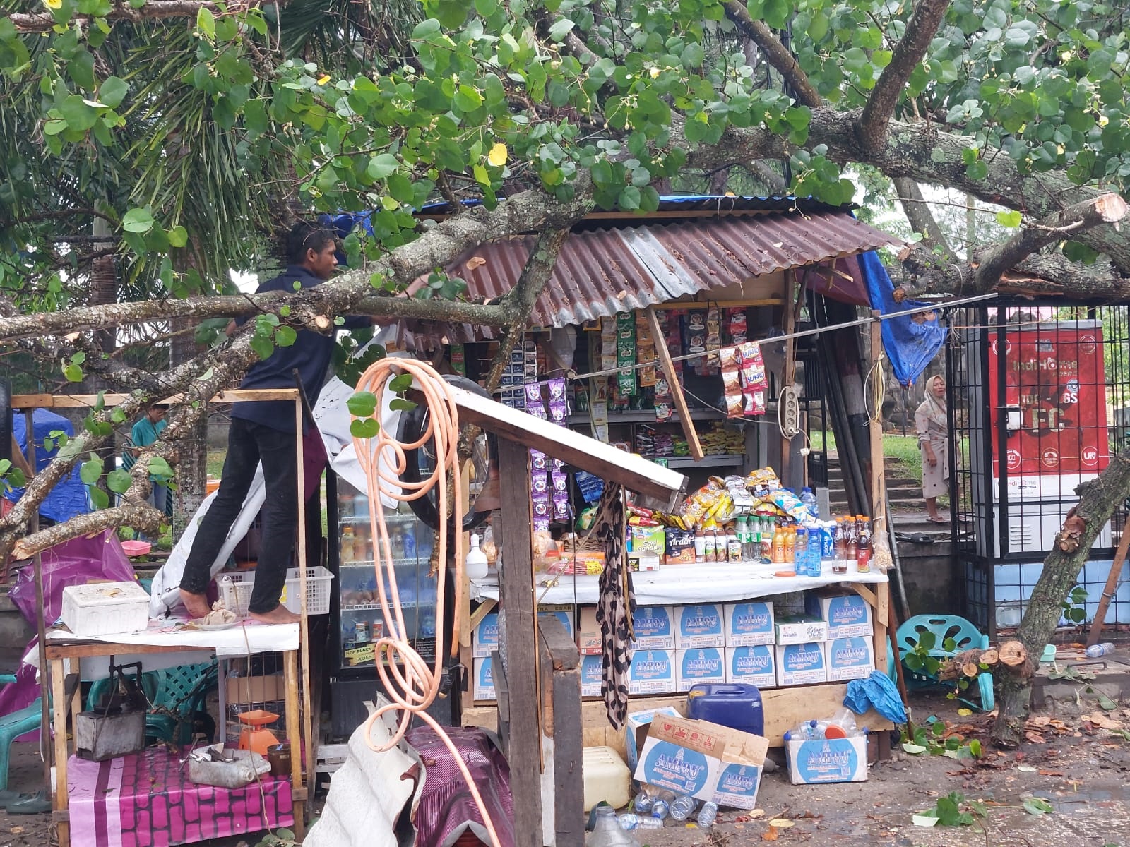 Pohon Tumbang Timpa Kios