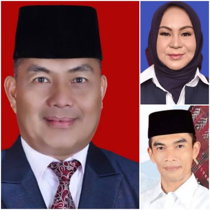 4 Tahun Pemkab Tapsel Hasilkan SiLPA Rp900 Miliar Lebih