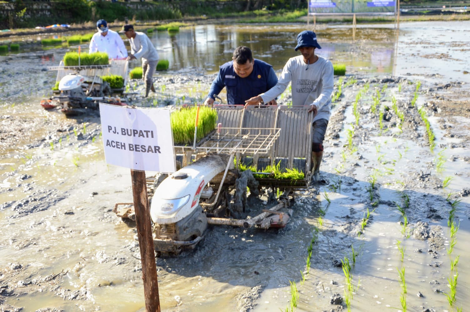 Wamentan Dukung Gerakan Percepatan Tanam Padi Di Aceh Besar