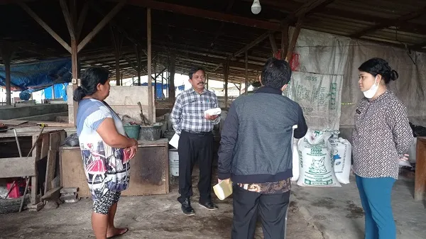 Antisipasi Wabah Virus ASF, Distannak Karo Sosialisasi Ke Peternakan Babi