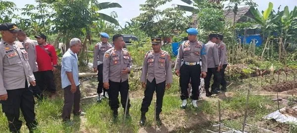 Kasat Binmas Polres Langsa Tinjau Program Ketahanan Pangan Gp Timbang Langsa