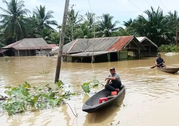 Banjir Aceh Timur Meluas, 10 Kecamatan Terendam, 2.693 Jiwa Mengungsi