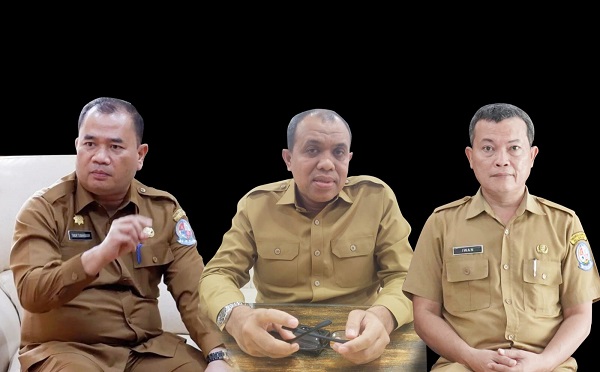 Profil 3 Calon Pj Bupati Deliserdang Usulan DPRD
