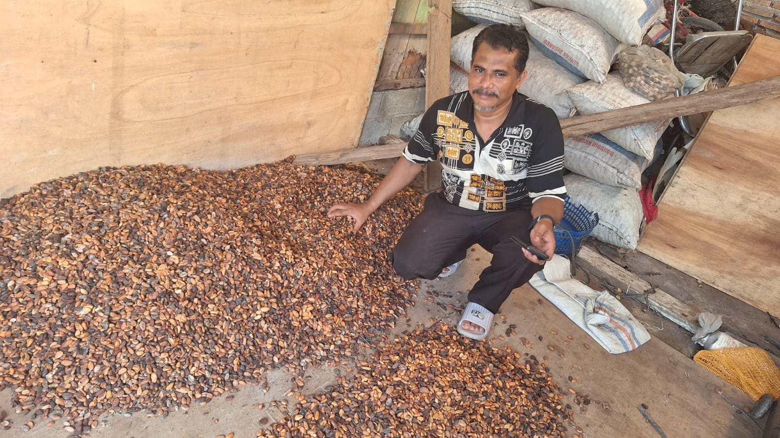 Di Abdya, Harga Kakao Tembus Rp139.800 Per Kilogram