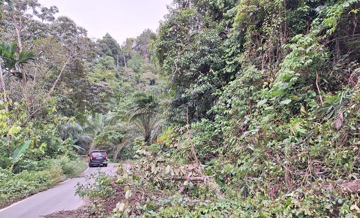 Jalan Lintas Atim - Galus Kerap Longsor Musim Penghujan