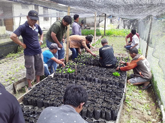 TPL Sektor Habinsaran Beri Bantuan Pupuk Dan Pelatihan Kepada KTH