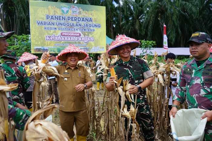 Kodim Aceh Tamiang Panen Jagung Perdana I’M Jagong