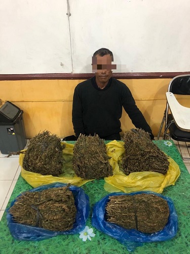 Polres Abdya Amankan Pengedar Ganja Antarkabupaten