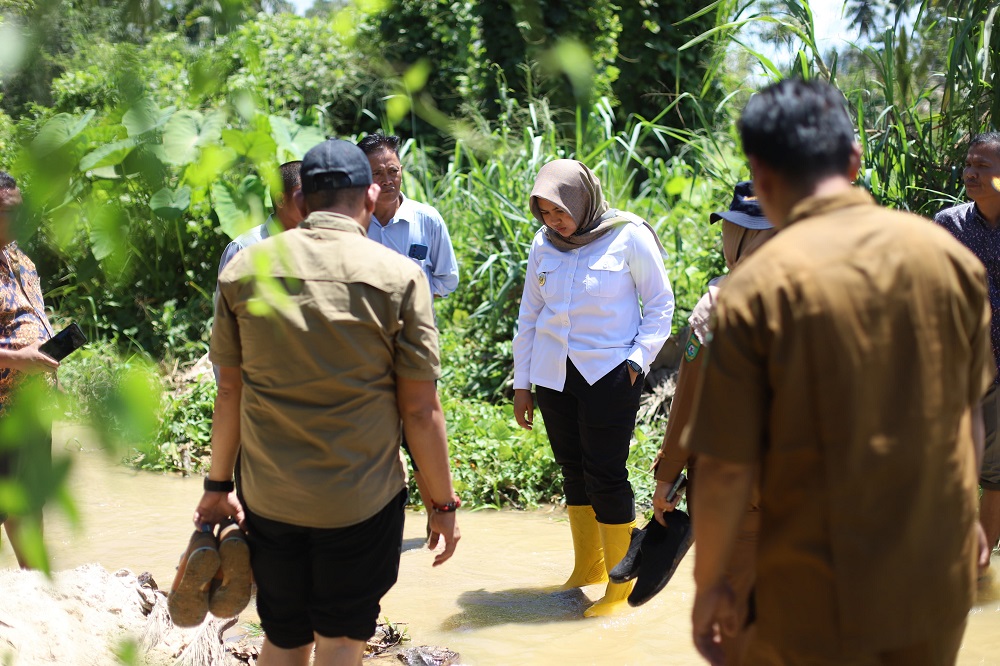 Wakil Bupati Madina Bawa "Pasukan" Respon Sawah Terendam Banjir