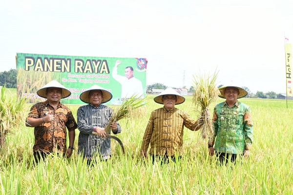 Deliserdang Penopang Kebutuhan Pangan Nasional