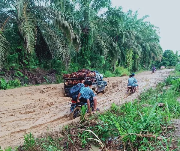 Jalan Rusak Parah, Siswa Batahan Berjibaku