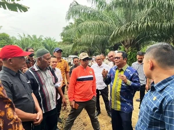 Luas HGU PT Socfindo Tanah Gambus Harus Dibuka Secara Jelas