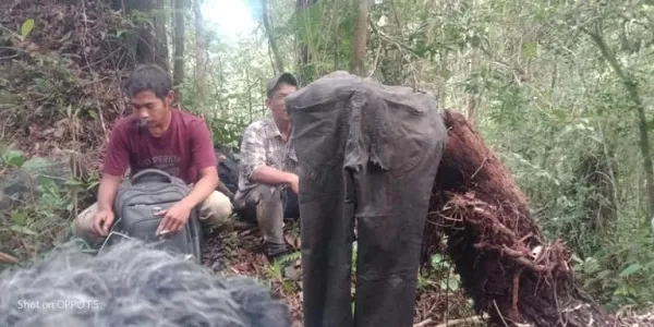 Ditemukan Celana Panjang 16 Km Di Tengah Belantara