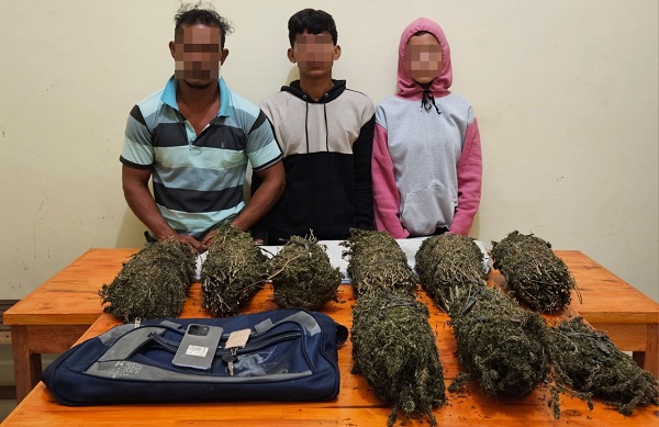 Polisi Ringkus Tiga Pengedar Bersama 7 Bal Ganja Di Paya Lhok