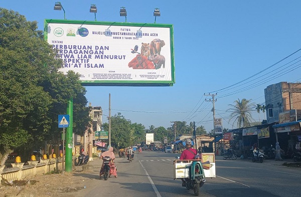 Fatwa MPU Larang Perburuan Satwa