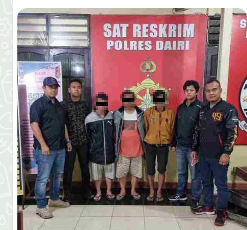 Polres Dairi Amankan 3 Penderes Pinus Di Kawasan Hutan 