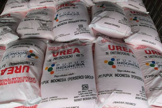 Harga Pupuk Subsidi Semakin Mahal, Petani Mengeluh