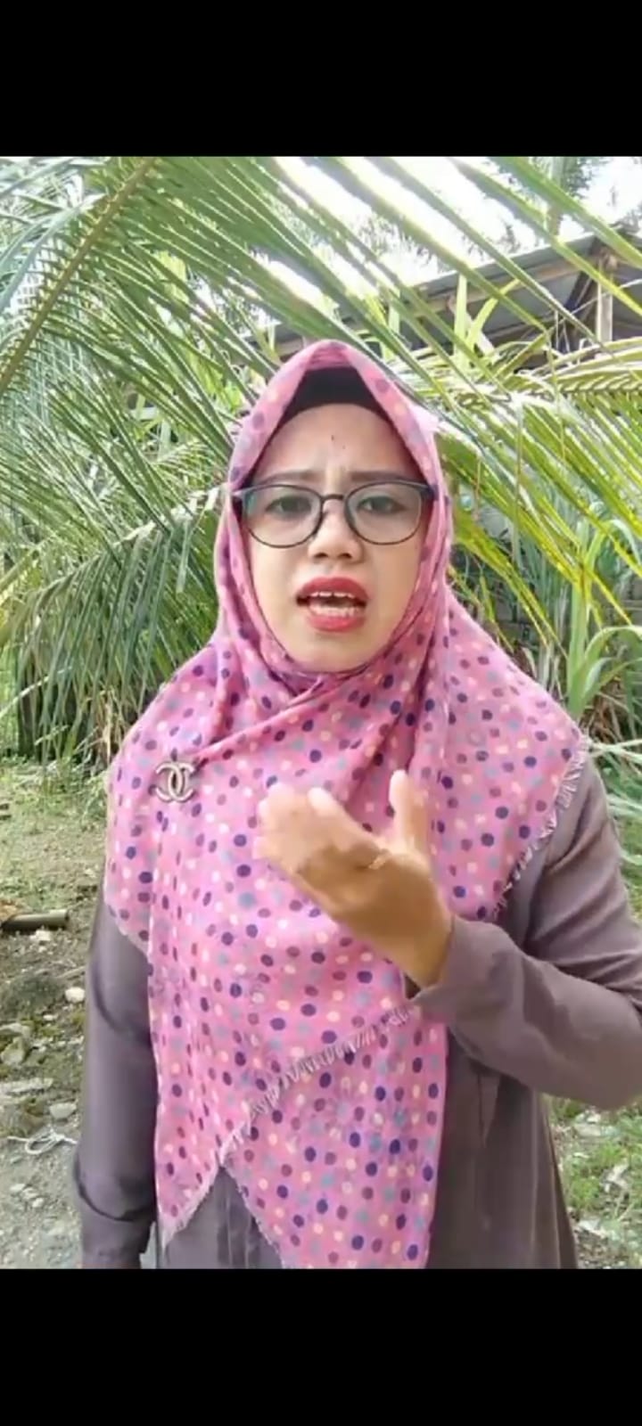 Diduga Dicurangi Saat Ujian PPPK, Seorang Guru Honor Di Langkat Unggah Video Tiktok 