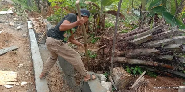Akhirnya, Pohon Kelapa Sawit Di Proyek Draniase Ippos Ditumbang