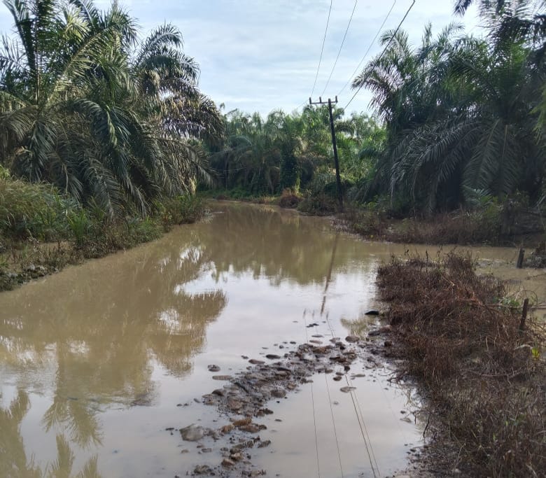DAS Tenggulun Meluap Genangi Badan Jalan Dan Pemukiman