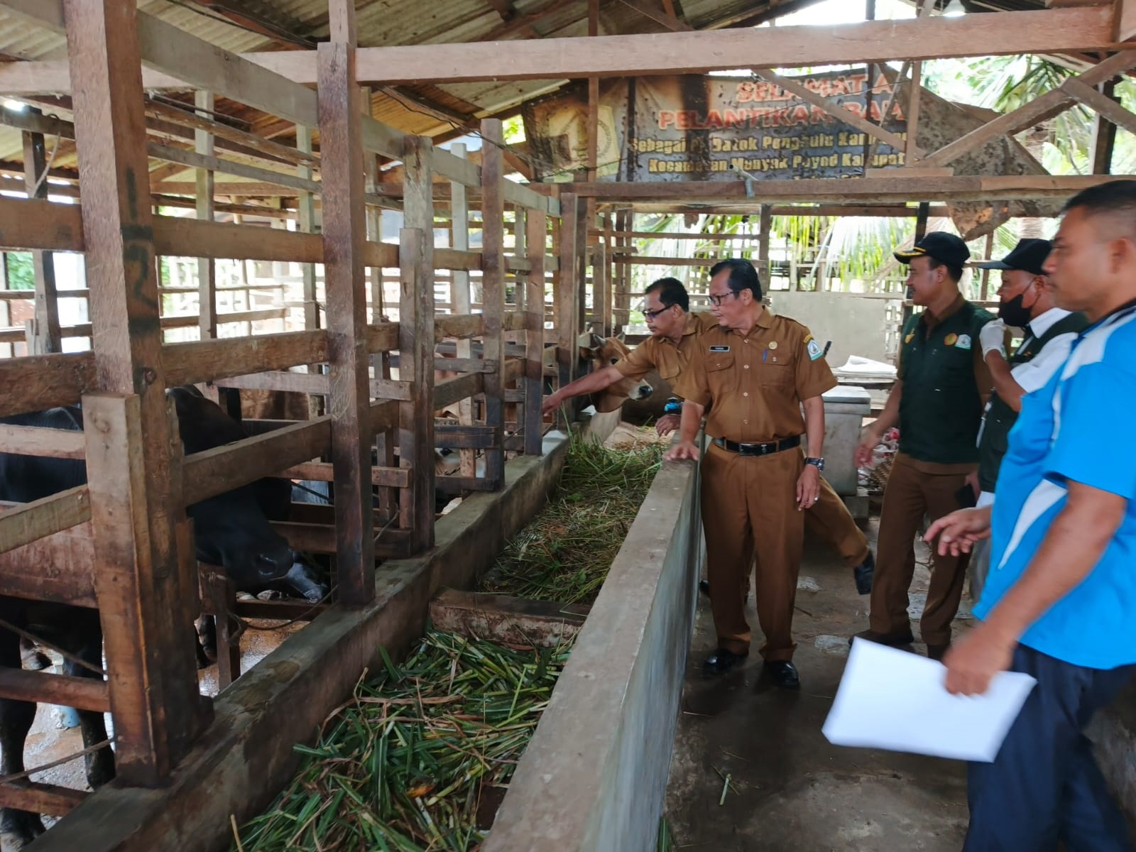Distanbunnak Aceh Tamiang Periksa Hewan Kurban