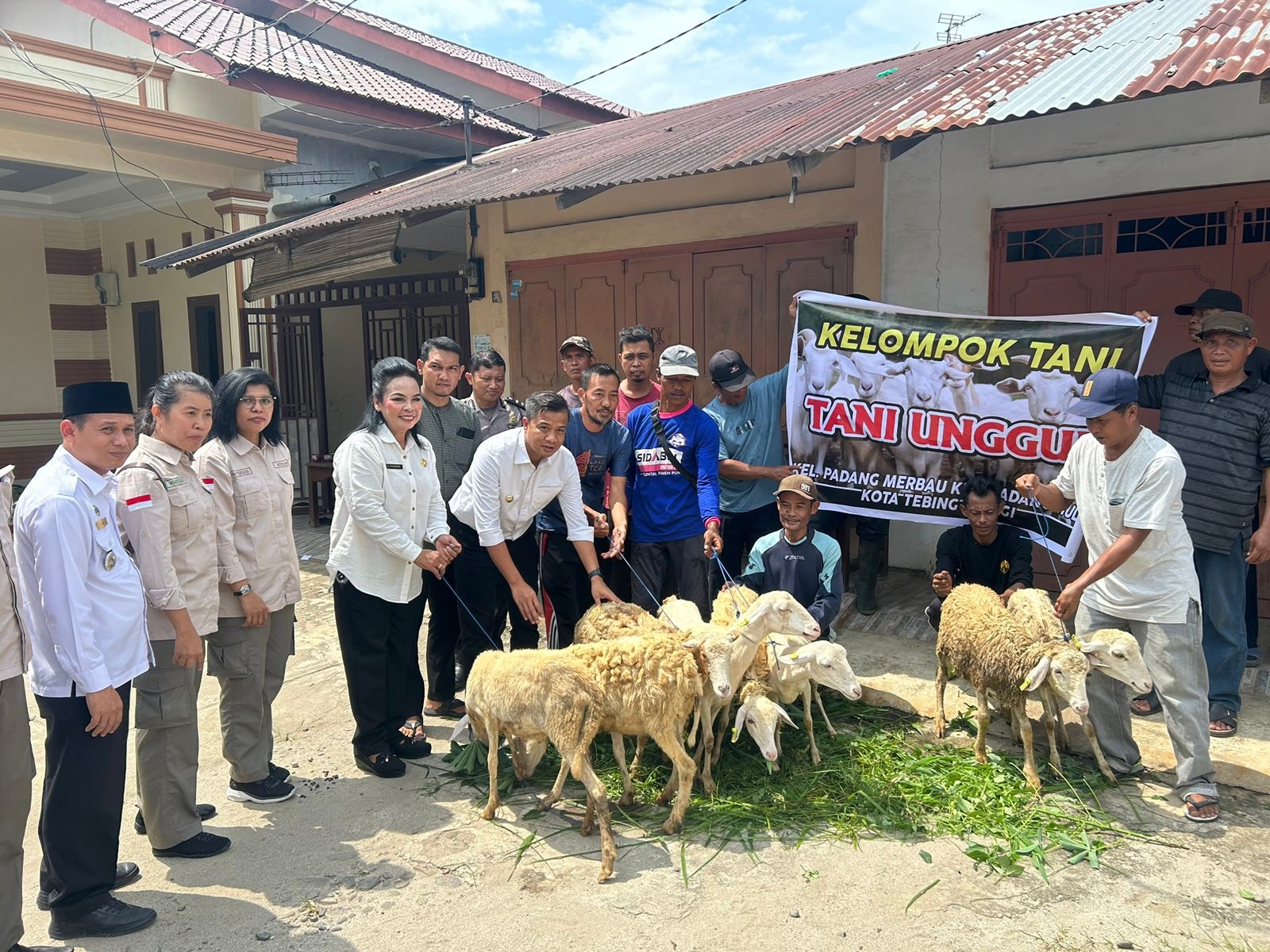 Pj Wali Kota Serahkan Bantuan Kepada Poktan Kelurahan Padang Merbau
