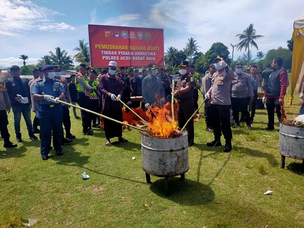 Polres Abdya Musnahkan BB Ganja Dan Sabu