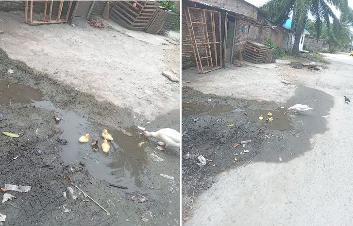 Tagihan Bertambah, Genangan Air Pipa Bocor Tempat Bebek Berenang