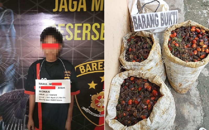 Pengumpul Berondolan Diserahkan ke Polsek Bilah Hulu