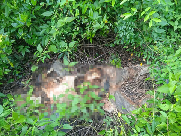 Mayat Bawa Uang Jutaan Rupiah, Ditemukan Penggembala Sapi