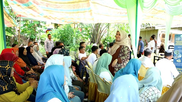 Alue Nyamuk Pilot Project Desa Wisata Aceh Timur