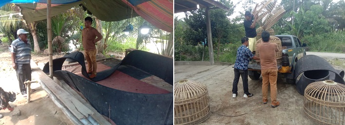 Pelaku Sabung Ayam Lari Saat Digerebek