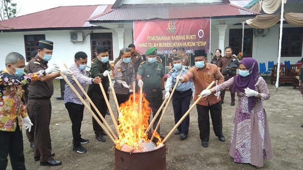 Kejari Palas Musnahkan 197,99 Gram Sabu Dan 2.682,74 Gram Ganja