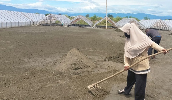 Tingkatkan Ekonomi Masyarakat Pesisir, Pemkab Pidie Kembangkan Garam Geomembran
