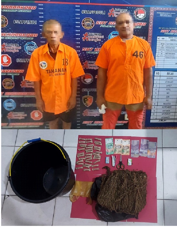 Pengedar Dan Bandar Ganja Dijebak Polisi