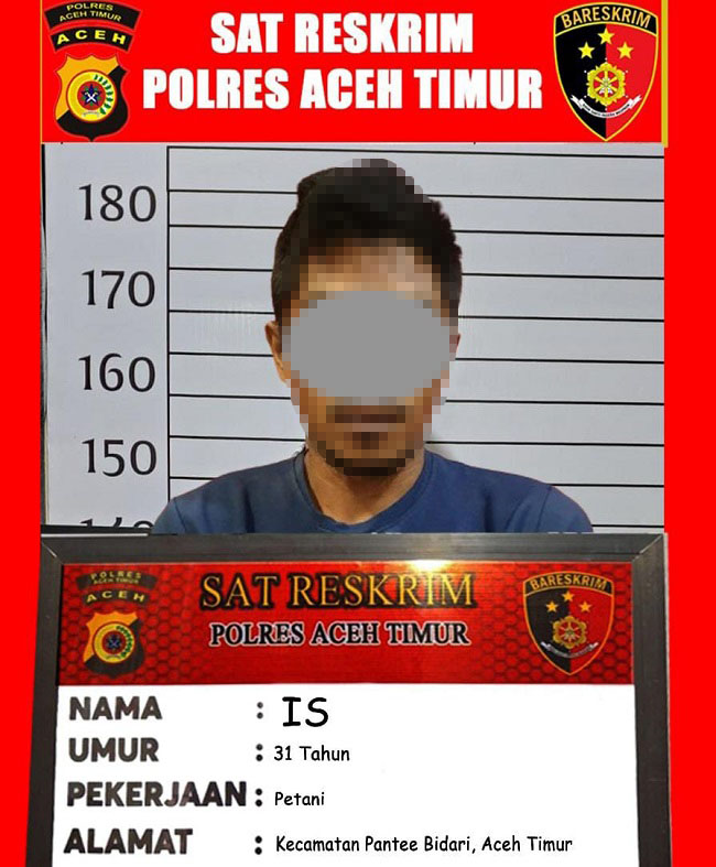 Polisi Ringkus Pemerkosa IRT Di Aceh Timur