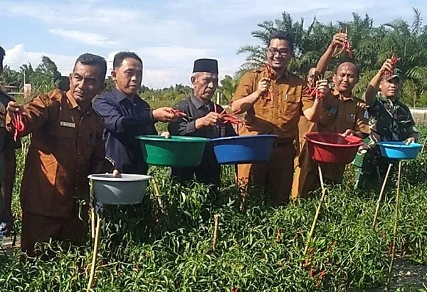 Dongkrak Produksi Dan Stabilisasi Harga, Solusi Tangani Inflasi