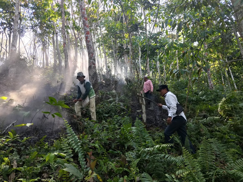 Tiga Hektar Hutan Dan Lahan Di Agara Terbakar