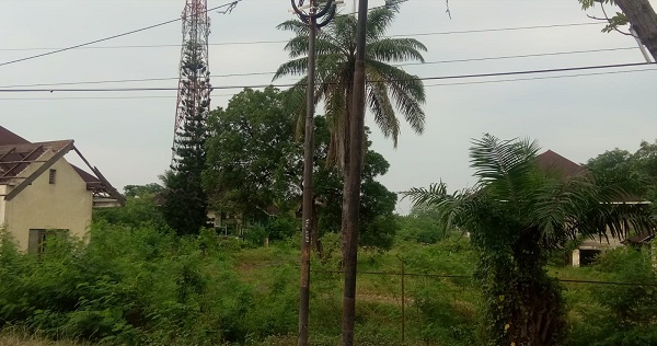 Tak Ada Perawatan, Eks Perumahan Karyawan Pertamina RU II Bagaikan Hutan Belukar