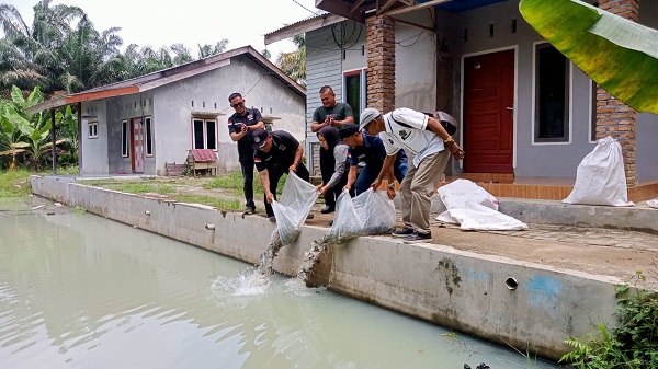 PWI Sergai Tabur 2.500 Bibit Ikan Nila