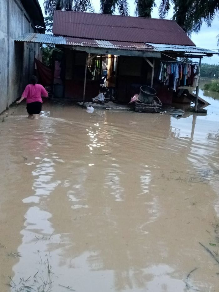 Kerusakan Hutan TNGL Picu Bencana Ekologis