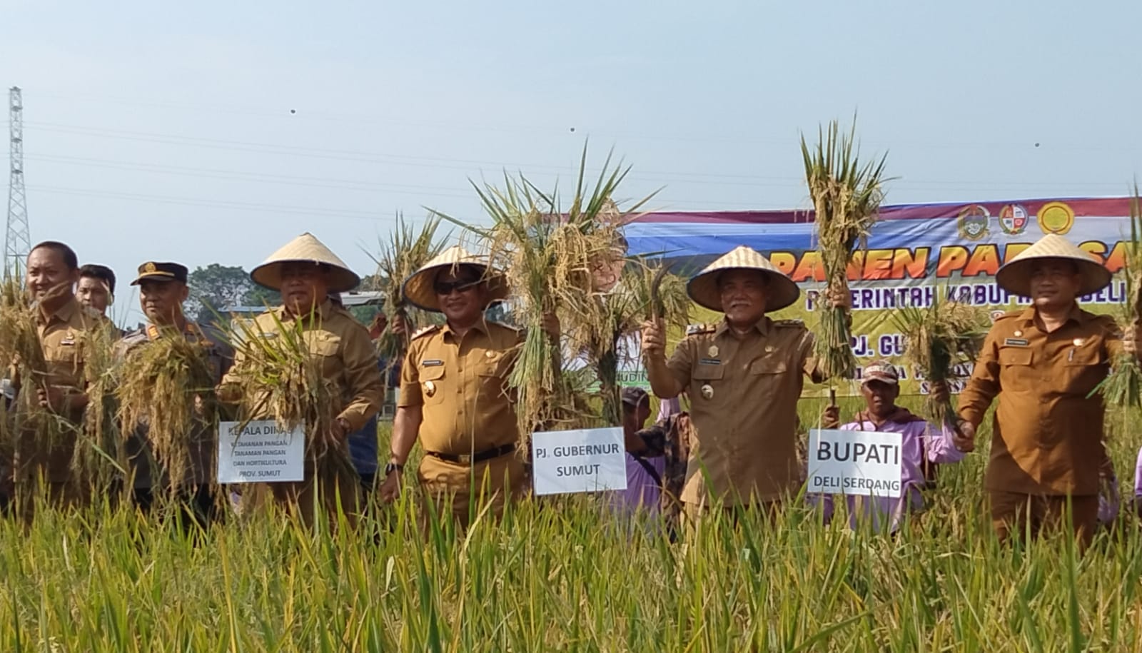 Pj Gubsu Panen Di Deliserdang